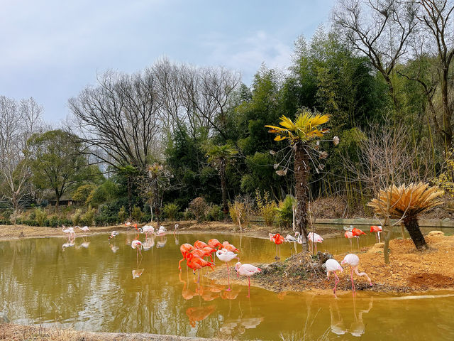 富陽｜看動物、玩樂園、觀演出、坐火車，一票全享。