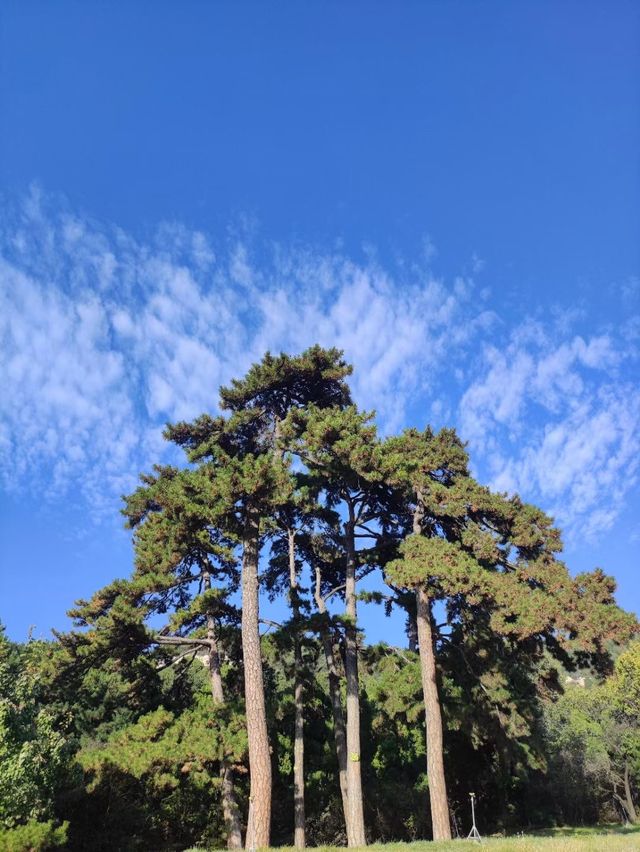 天龍山石窟，請注意保護。