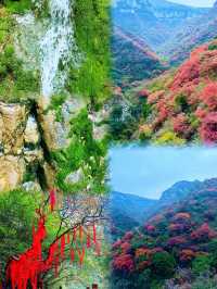濰坊青州黃花溪 | 絕美秋景，邂逅自然之美。