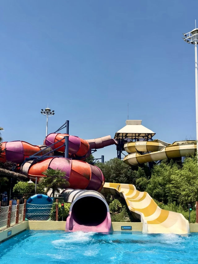盛夏水之樂章：在上海瑪雅海灘的歡樂時光