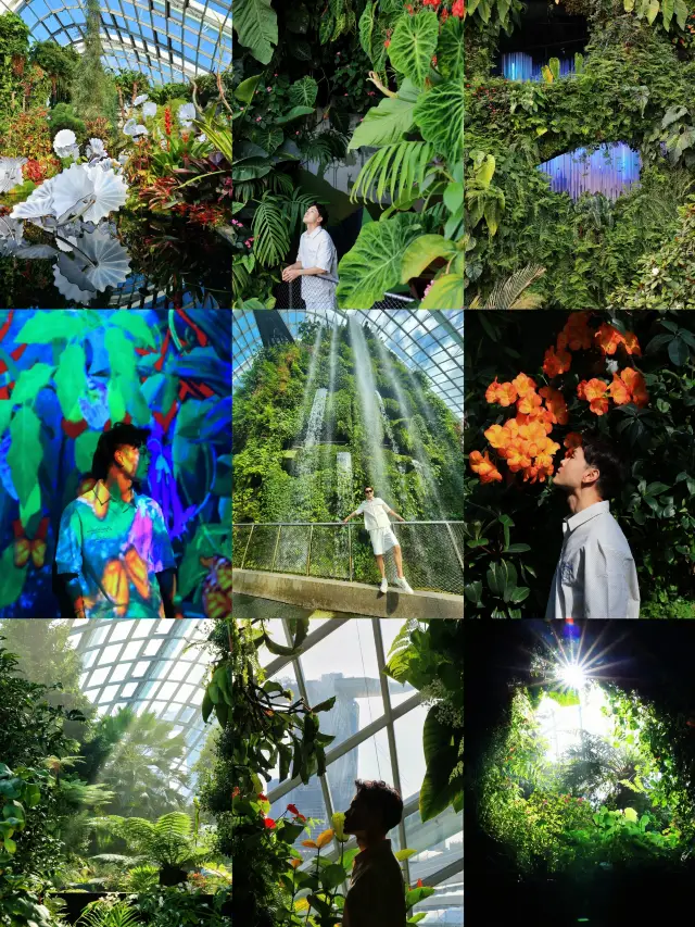 原來濱海灣花園有這麼多隱藏機位。