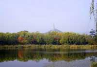 秋日裡，走進有著農耕印記的北坞公園。