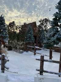 深圳雪景木屋阿勒泰！。