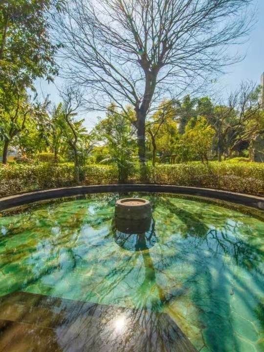 溫泉酒店！真的太滿意了！連住三天……