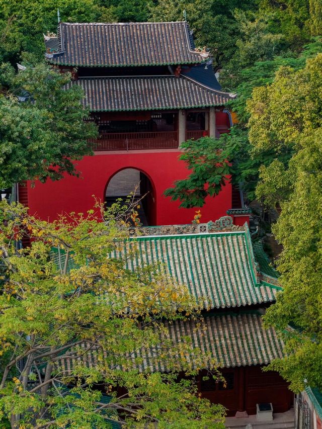 誤入廣州新開園林免門票|很出片啊。