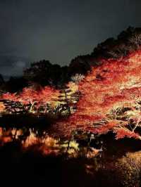 The Scenic Beauty of Nagoya Higashiyama Botanical Garden