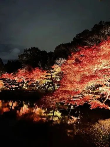 名古屋東山植物園の景観美。