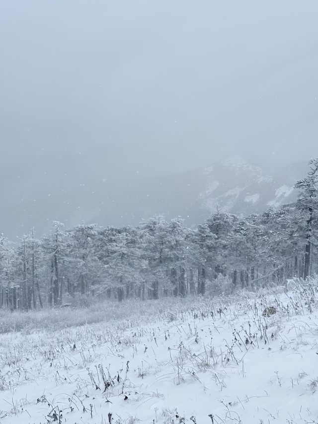 西安秦嶺東梁|雪後的東梁，如她的名字一樣別緻。