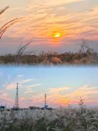 黃河入海口|中華民族的母親河。