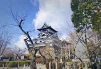 Inuyama Castle: Japan's Oldest Keep