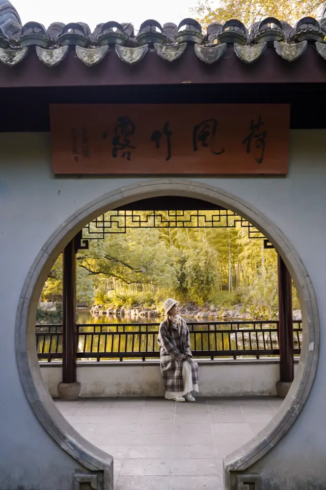 Autumn is in full swing in Shanghai! 