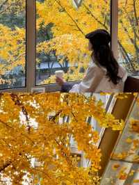 上海|黃金城道已經美得不像樣了~