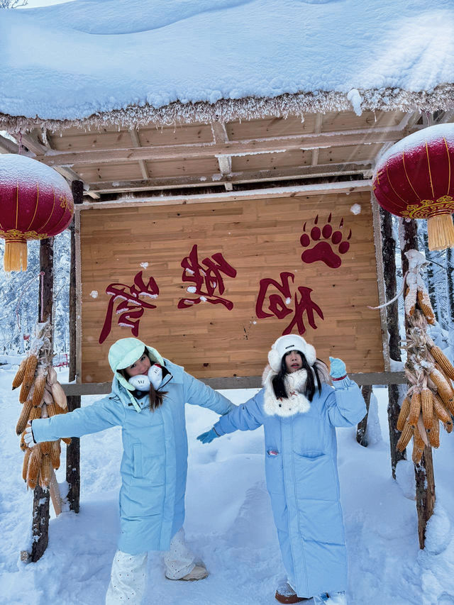和姊妹在哈爾濱玩了五天，我的消費觀崩塌了