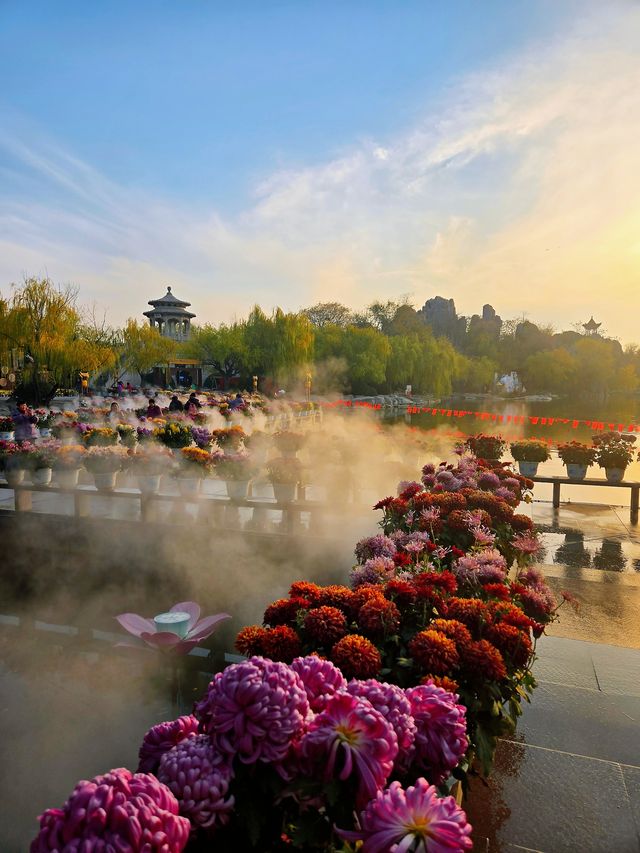 遊覽翰園，欣賞插花——中國翰園