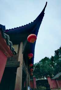 初冬騎行暮訪金華寺|於塵世尋一抹古剎清幽