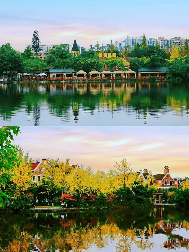 那些值得反復去的廈門公園|南湖公園