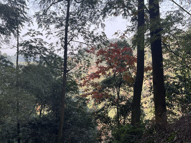 青神之旅
