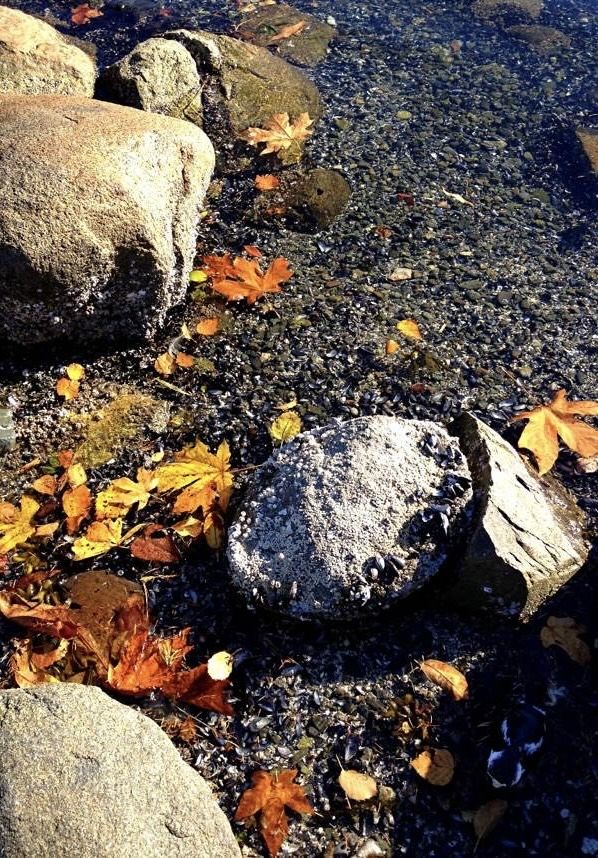 海天一線的森林秘境：西溫燈塔公園步行指南