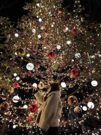 Experience the Enchanting Christmas Lights at Karuizawa's Starry Forest