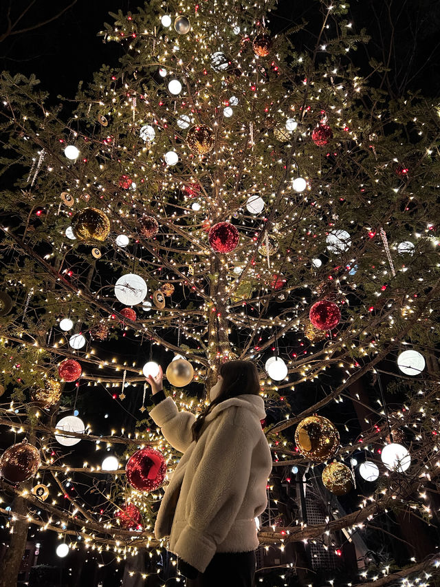 Experience the Enchanting Christmas Lights at Karuizawa's Starry Forest