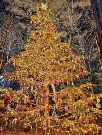 Karuizawa Highland Church Christmas Lighting Guide