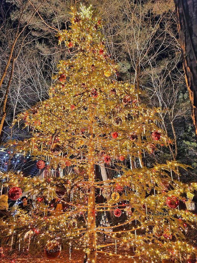 Karuizawa Highland Church Christmas Lighting Guide