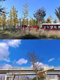 成都公園/週末遛娃露營好去處