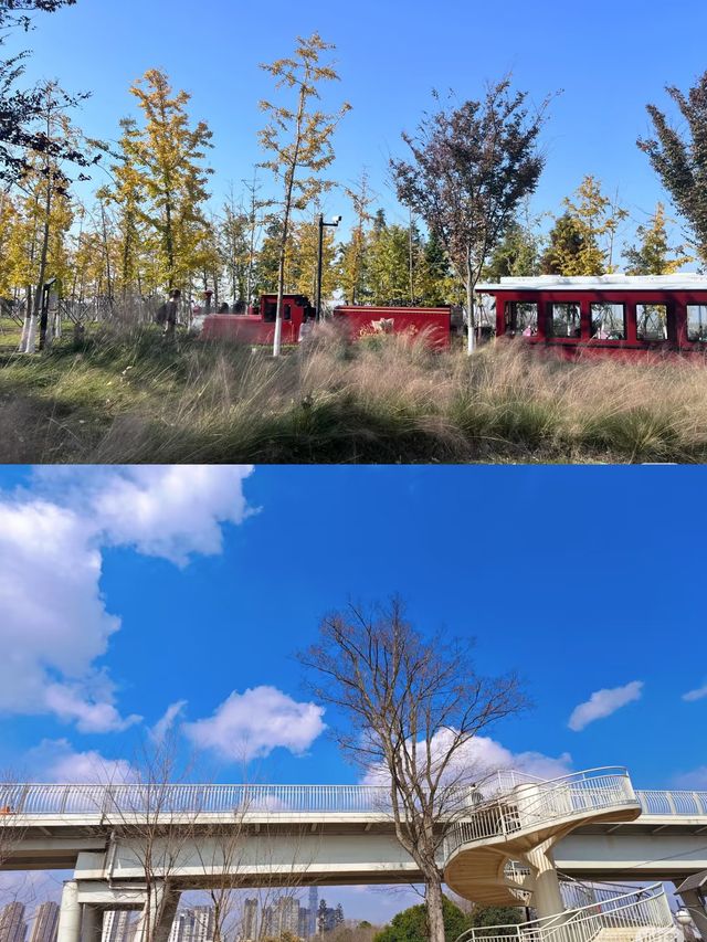 成都公園/週末遛娃露營好去處