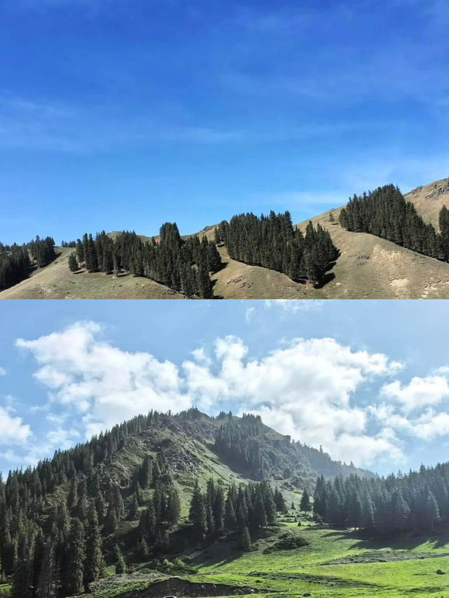 烏魯木齊天山大峽谷的旅遊攻略： 