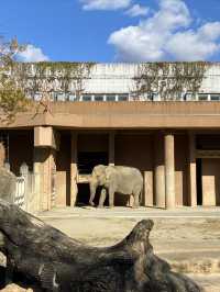 名古屋動物園的冬日暖陽
