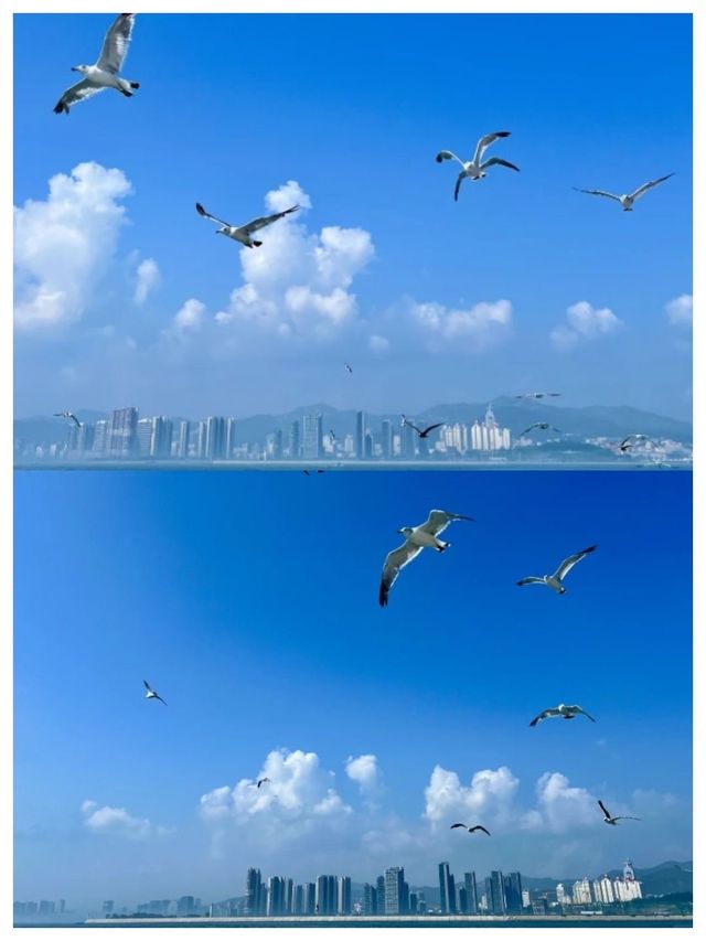 教你如何精準趕雪 | 比天氣預報仲準