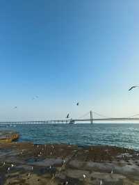 大連-本溪-盤錦6日遊 超詳細攻略助你暢玩無憂