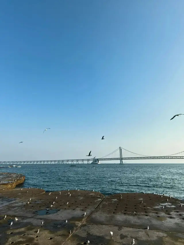 大連-本溪-盤錦6日遊 超詳細攻略助你暢玩無憂