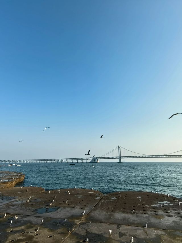 大連-本溪-盤錦6日遊 超詳細攻略助你暢玩無憂