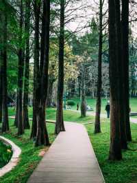 深圳四海公園超詳細遊玩攻略！
