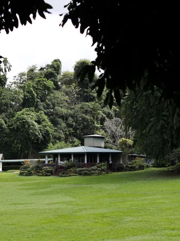 Discover the Ancient City of Kandy in Sri Lanka