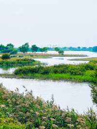 二井灣濕地公園打卡指南·珠海橫琴週末