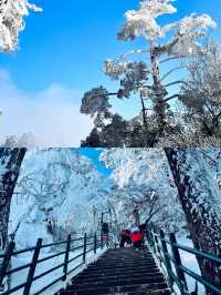 郴州莽山賞雪超全攻略
