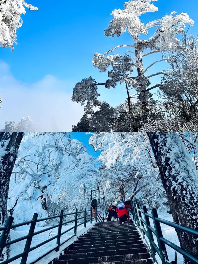 郴州莽山賞雪超全攻略