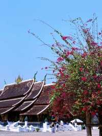 Discover the Beauty of Wat Xieng Thong, Laos' Royal Temple