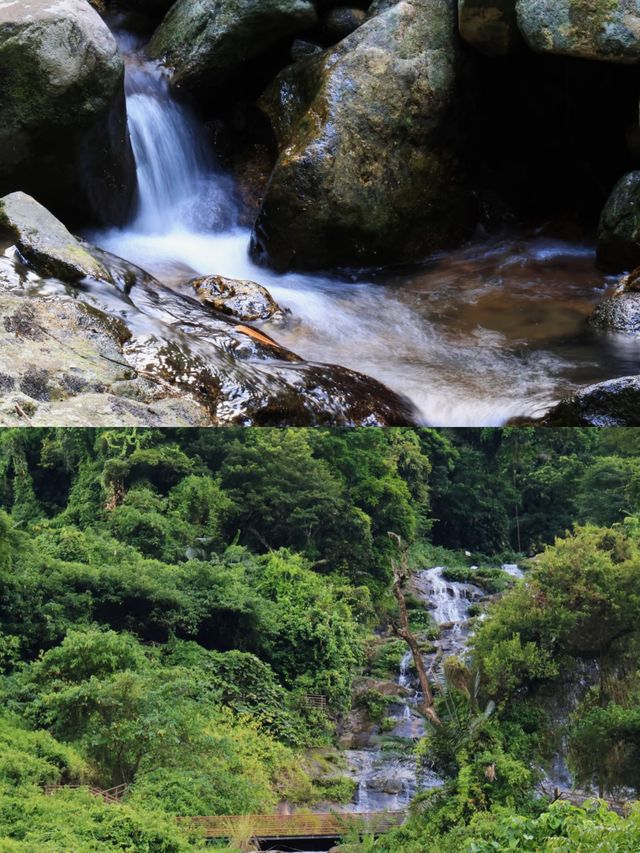 蛇年海南小眾寶藏地|瓊中，邂逅別樣年味