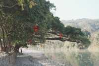 福建土樓,一定要在對的時候去!