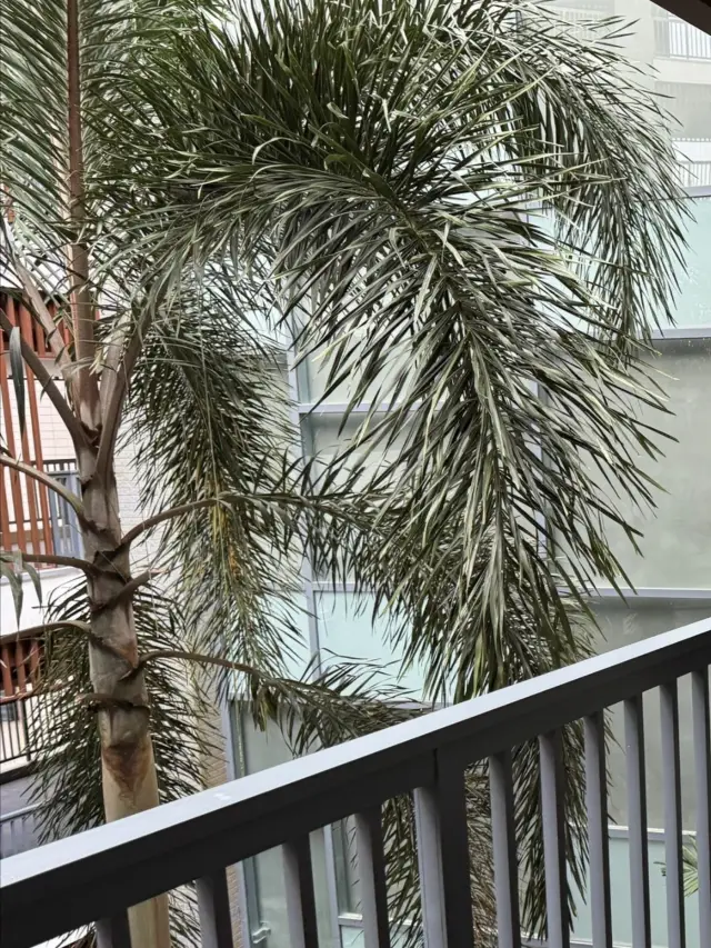 興隆希爾頓逸林酒店