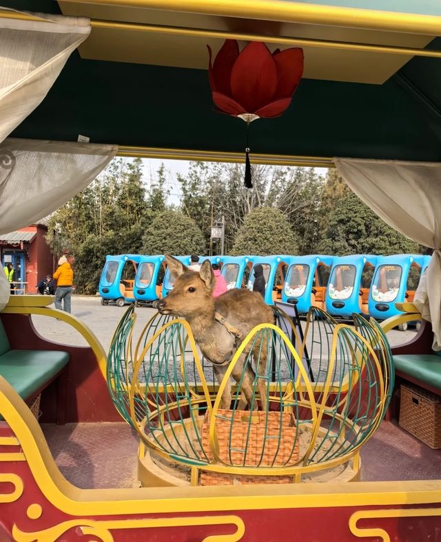 【鐵塔公園,鐵塔下的美好時光】 【鐵塔公園,鐵塔下的美好時光】