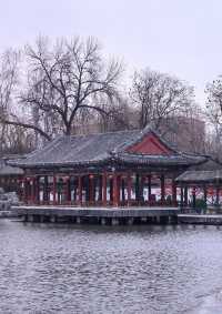 春節讀紅樓遊大觀園  體會古典文學藝術