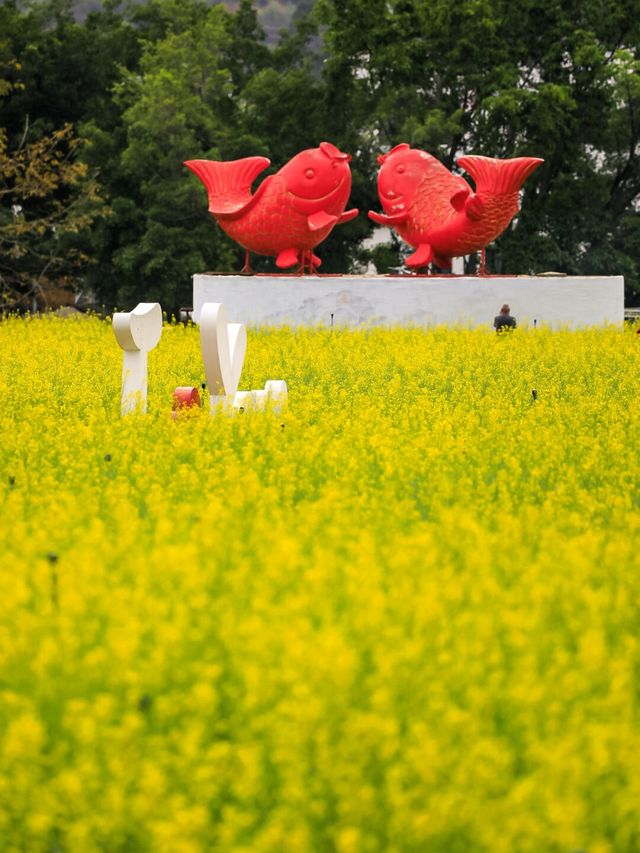 光明小鎮，歡樂田園