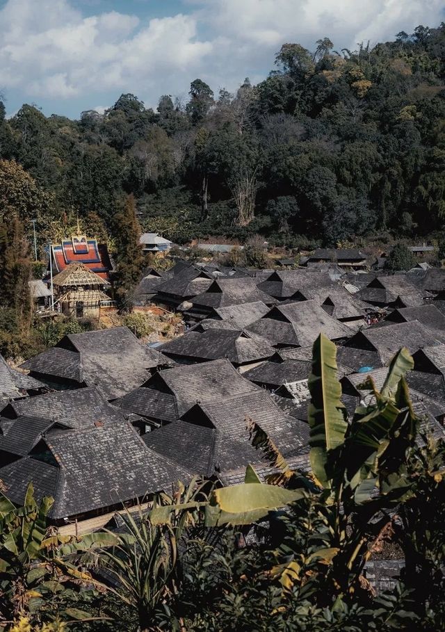 景邁山：雲霧間的茶香秘境 心靈的詩與遠方