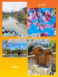 東京行程｜小石川後樂園與千鳥淵公園一日遊
