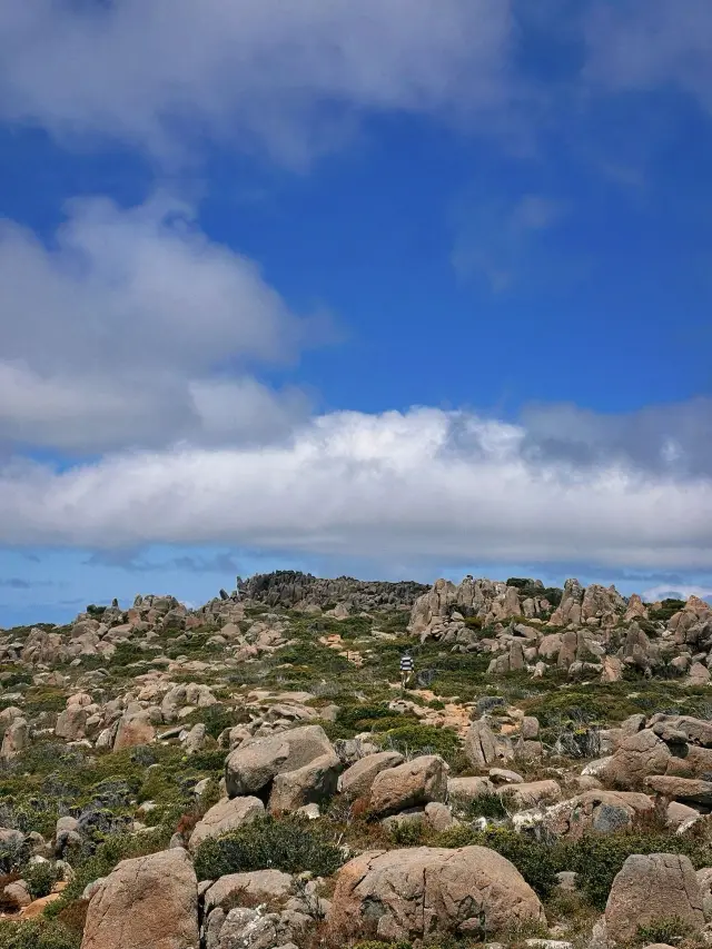 オーストラリア4日間 完全ガイドをお見逃しなく