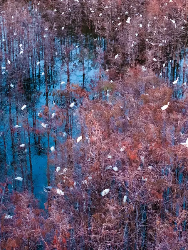 7-Day Nanchang-Lushan-Jingdezhen Itinerary in Jiangxi: A Must-Read Guide!